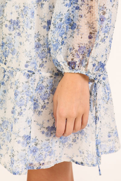 Sheer Floral Mini Dress