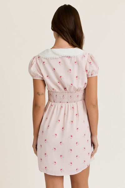 Collared Lace Trim Floral Mini Dress