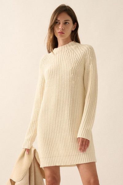 Solid Knit Mini Sweater Dress